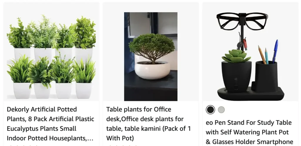 Desk Plant Christmas Gift Ideas 